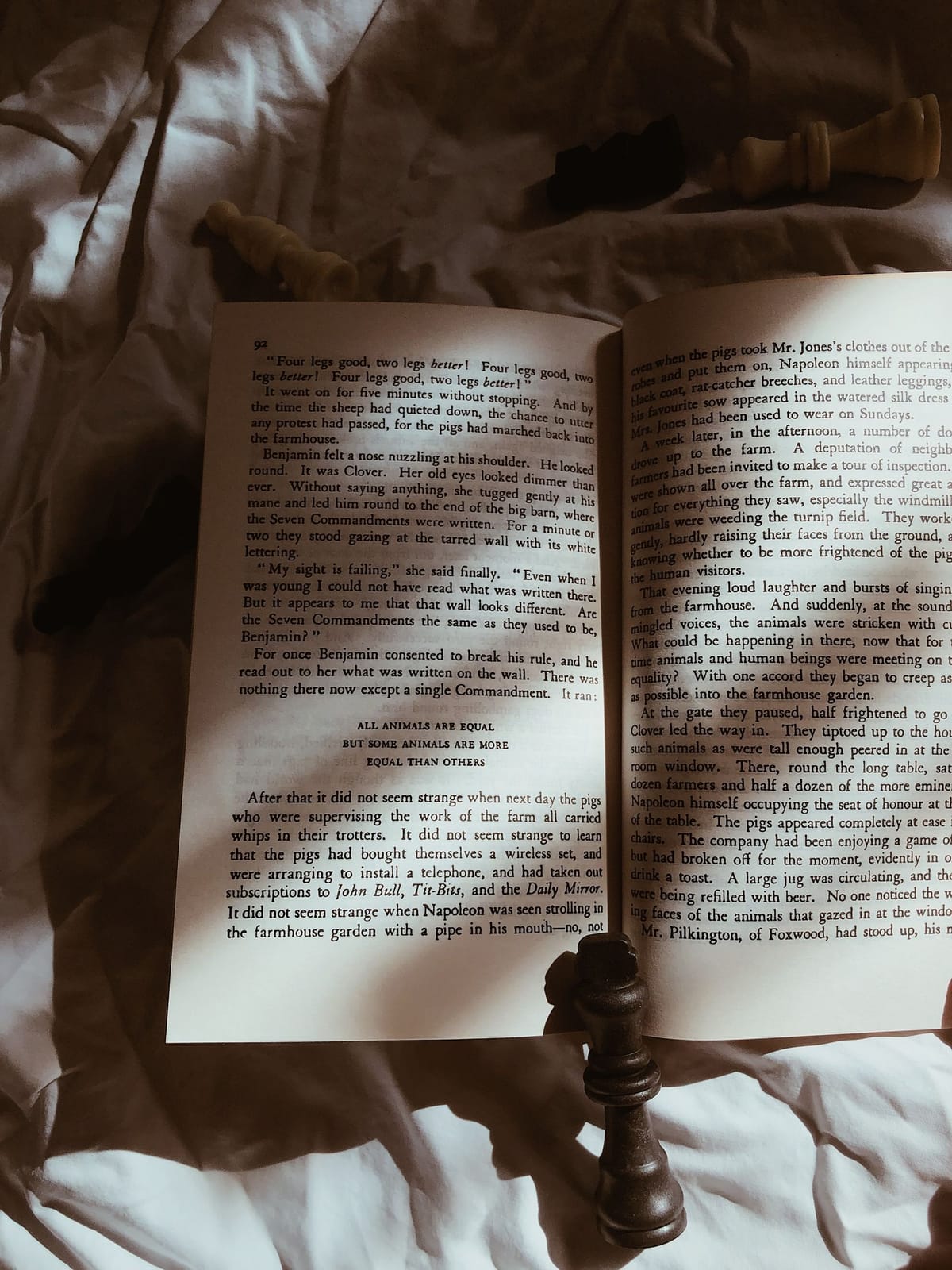 An open paperback book resting on a bed with chess pieces scattered nearby, lit by warm evening light