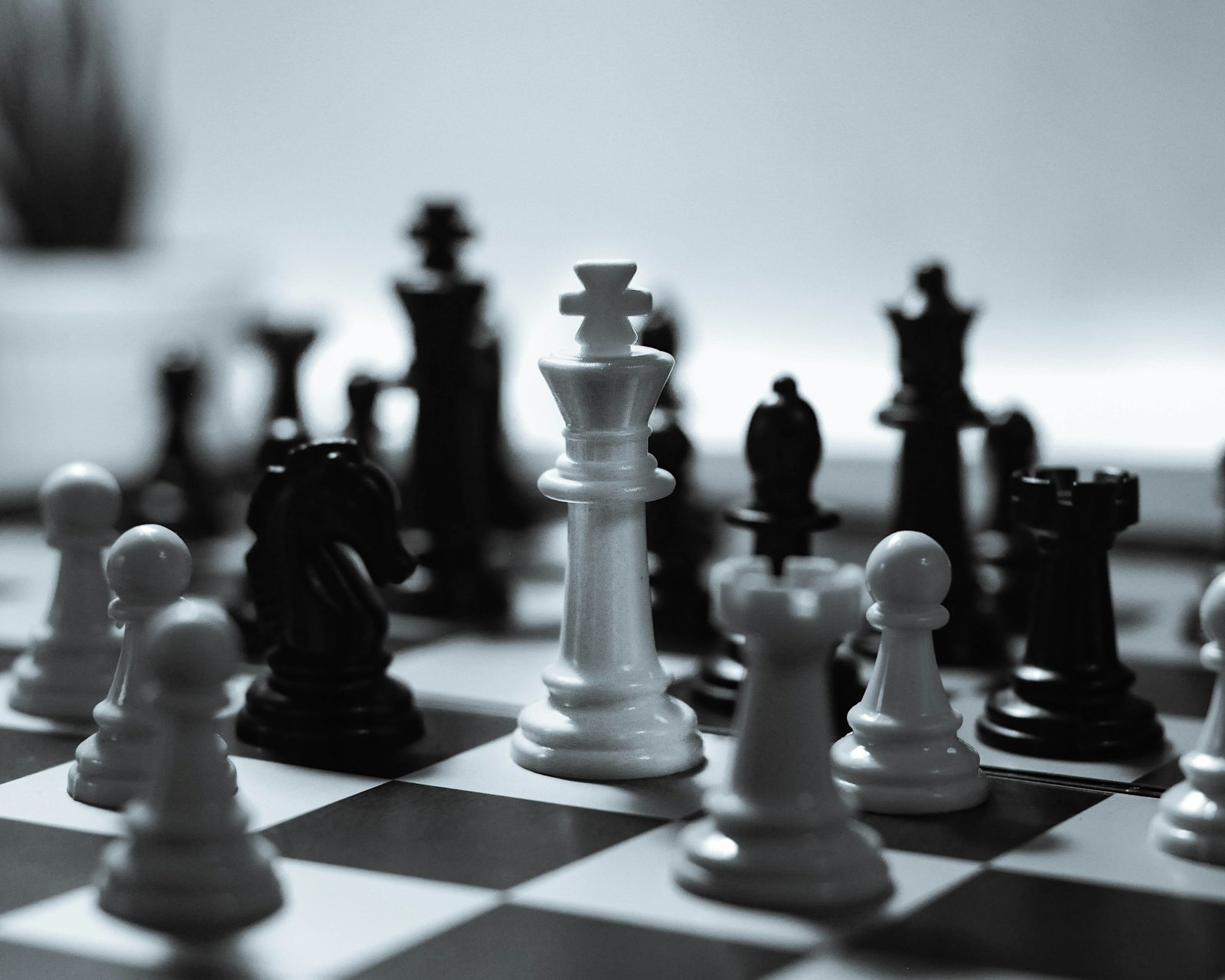 Chess pieces mid-game on a wooden board, viewed close up